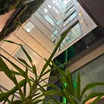 Hotel Nena